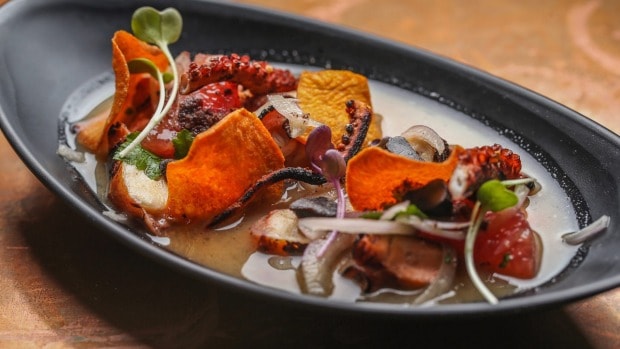 restaurant review piqueos octopus ceviche by dani valent